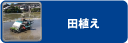 田植え