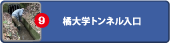 橘大学トンネル入口