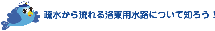 疏水から流れる洛東用水路について知ろう！