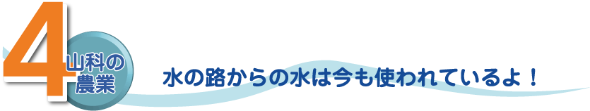 4山科の農業 水の路からの水は今も使われているよ！